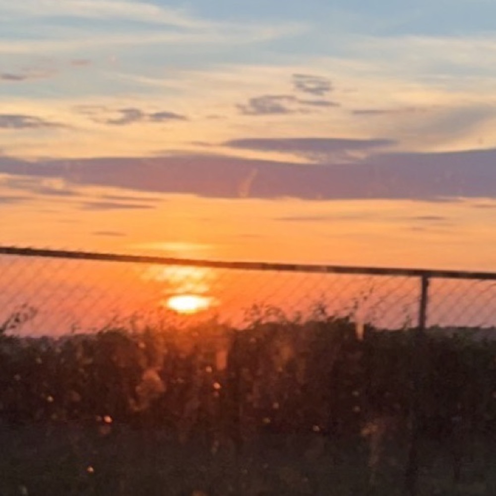 Meet your Posher, Nicholas